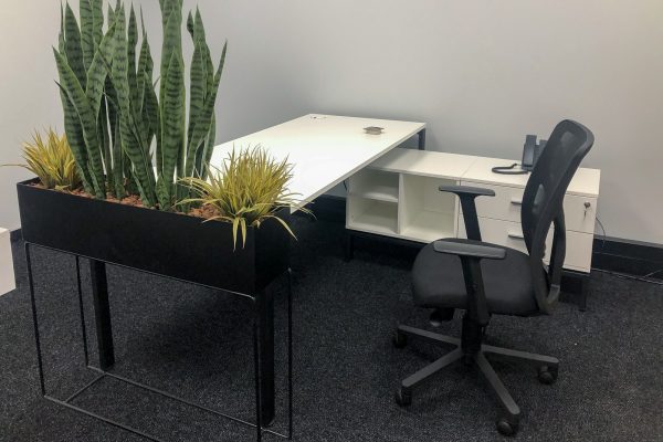 KirchPharma Installation-March21 (10 of 21)