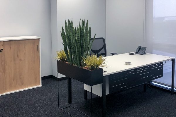 KirchPharma Installation-March21 (14 of 21)