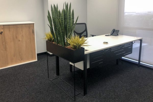 KirchPharma Installation-March21 (9 of 21)