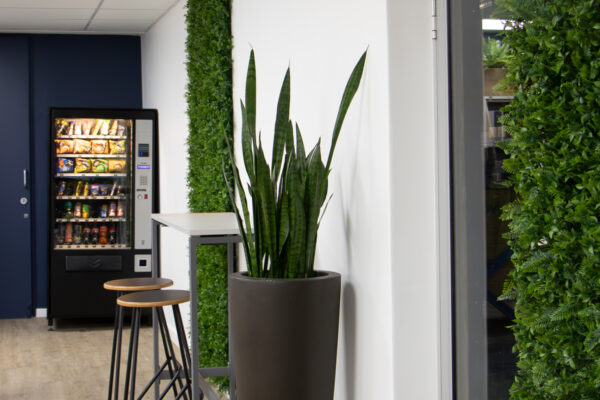 alignstudio_zf92 (13 of 33)