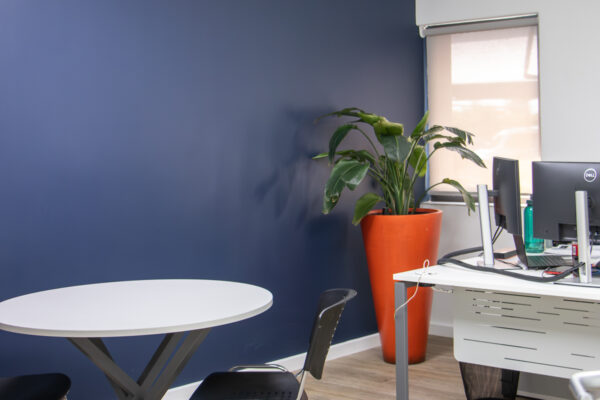 alignstudio_zf92 (8 of 33)